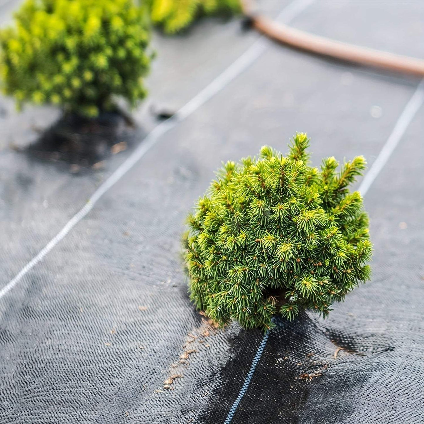 Heavy-Duty Black Garden Fabric - Weed Barrier & Ground Cover