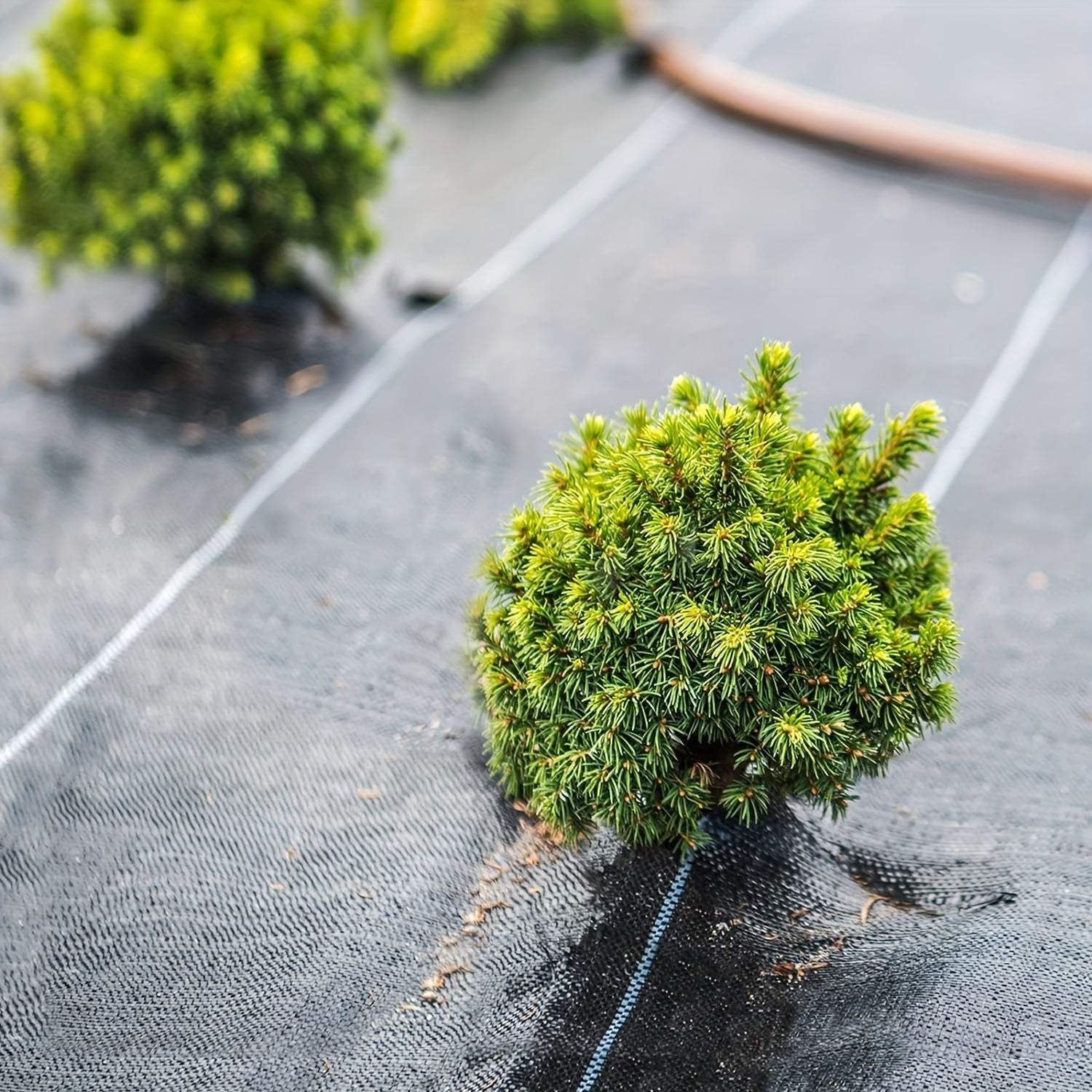 Heavy-Duty Black Garden Fabric - Weed Barrier & Ground Cover