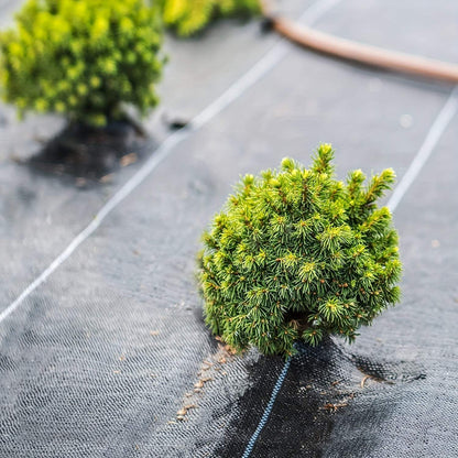 Heavy-Duty Black Garden Fabric - Weed Barrier & Ground Cover