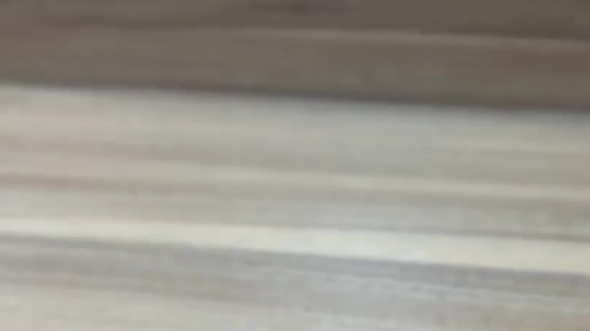 Rotatable Police Car Stunt Vehicle – 4WD Inertial Toy Fun