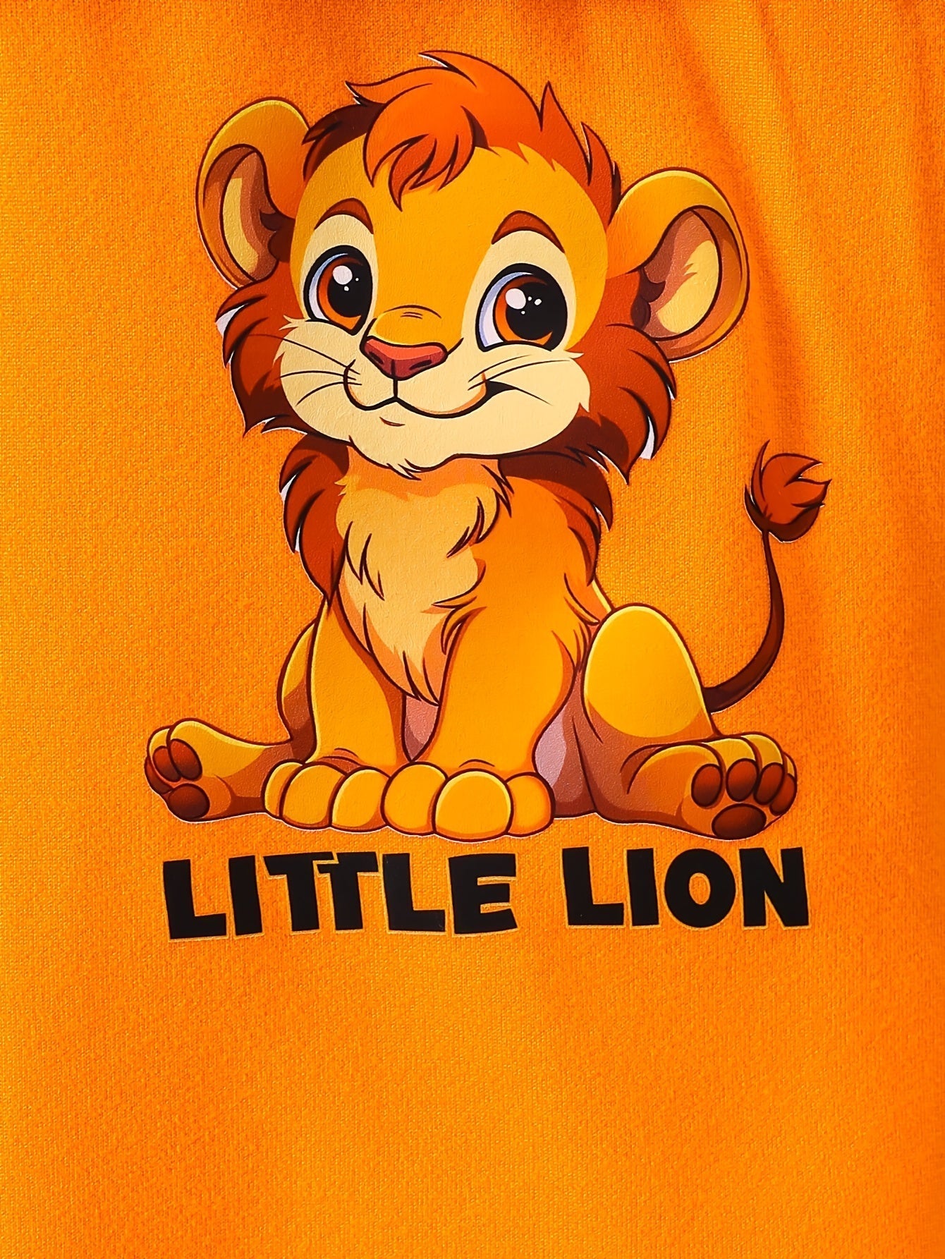 Boys Little Lion Print T-Shirt and Shorts Set