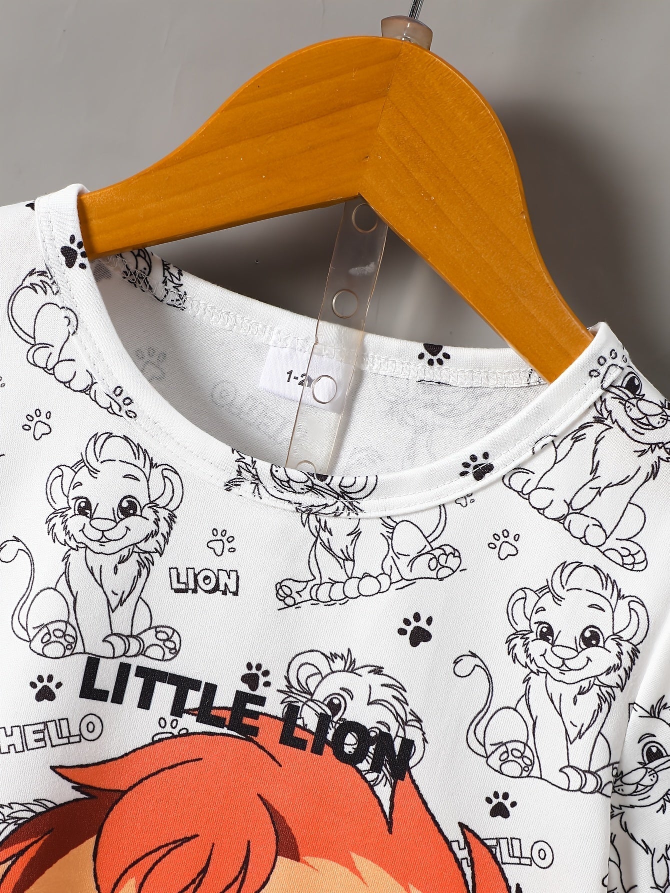 Boys Little Lion Print T-Shirt and Shorts Set