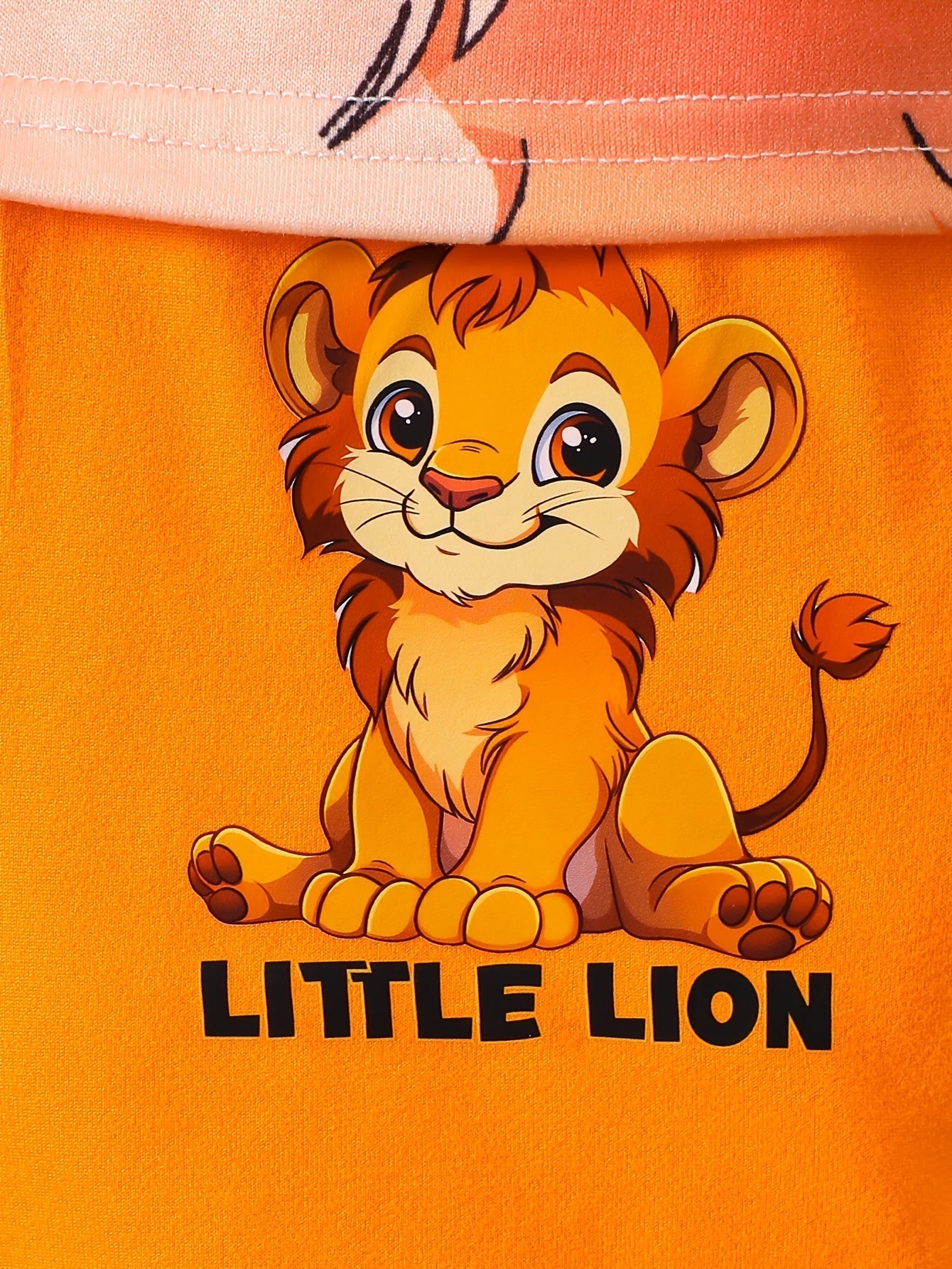 Boys Little Lion Print T-Shirt and Shorts Set