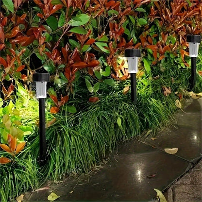 10-Pack Solar Lights
