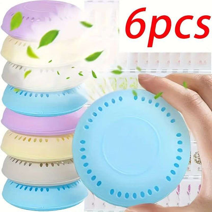 Cherry Blossom and Lavender