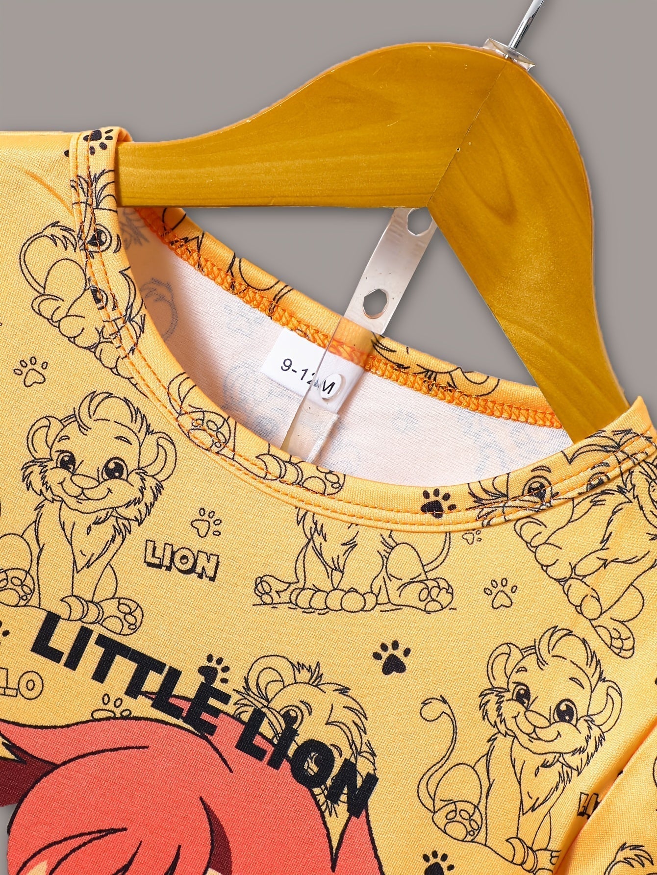 Boys Little Lion Print T-Shirt and Shorts Set