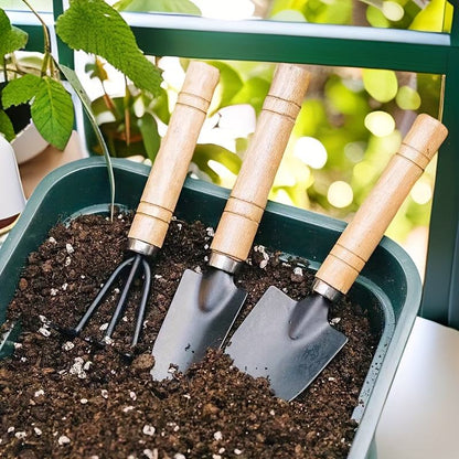 Mini Gardening Tool Set - 6 pcs. Metal & Wooden Hand Tools