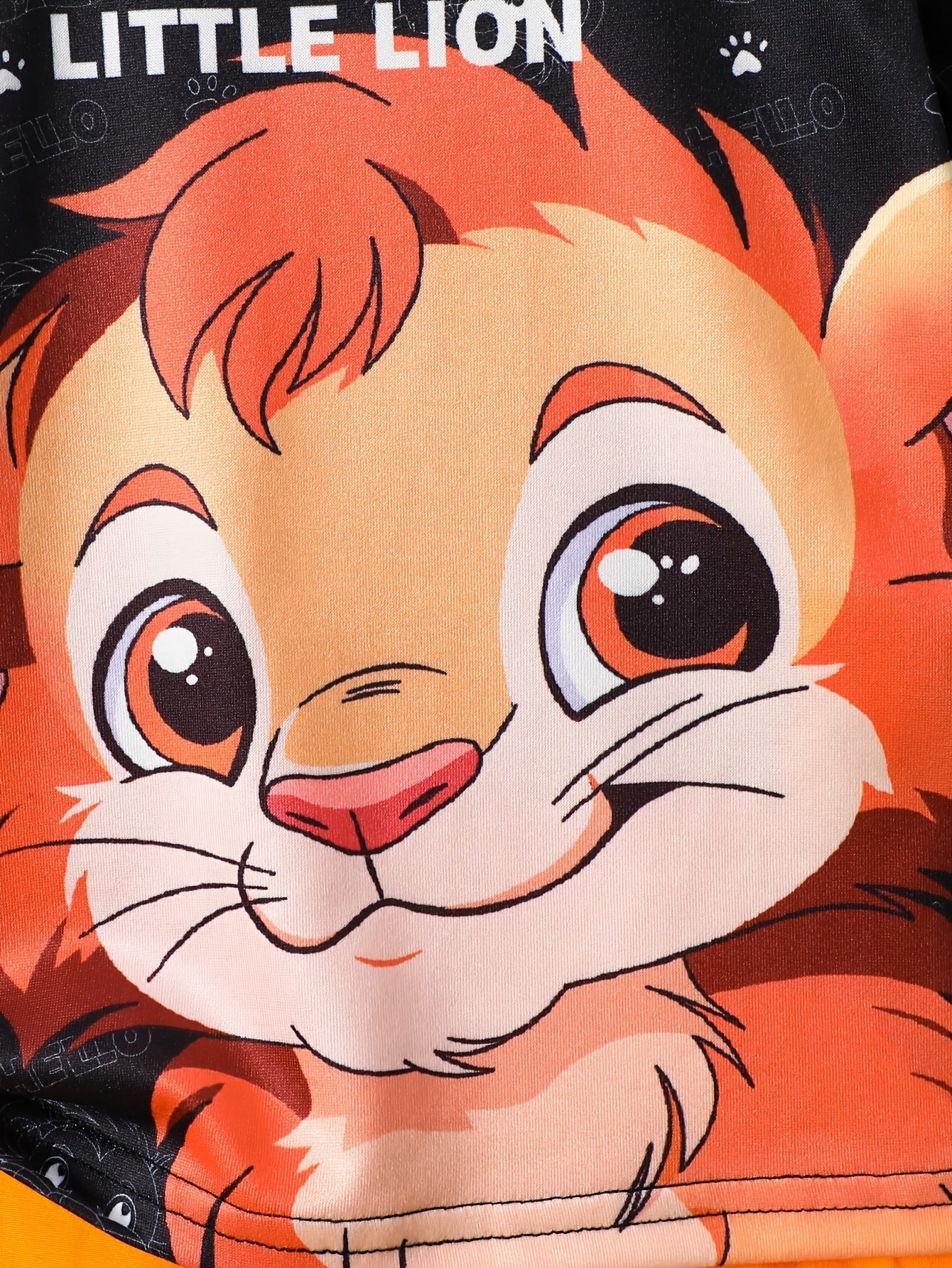 Boys Little Lion Print T-Shirt and Shorts Set