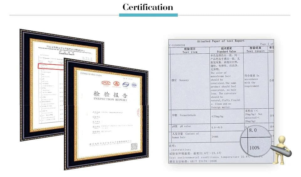 Ombre Platinum Blonde 13x4 Lace Front Wig