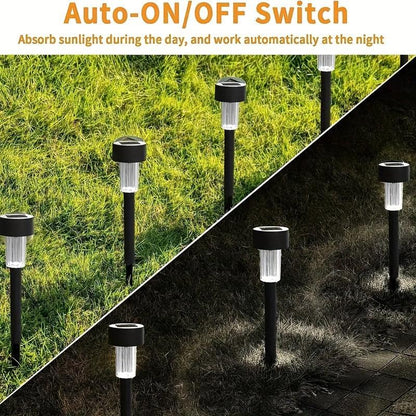10-Pack Solar Lights