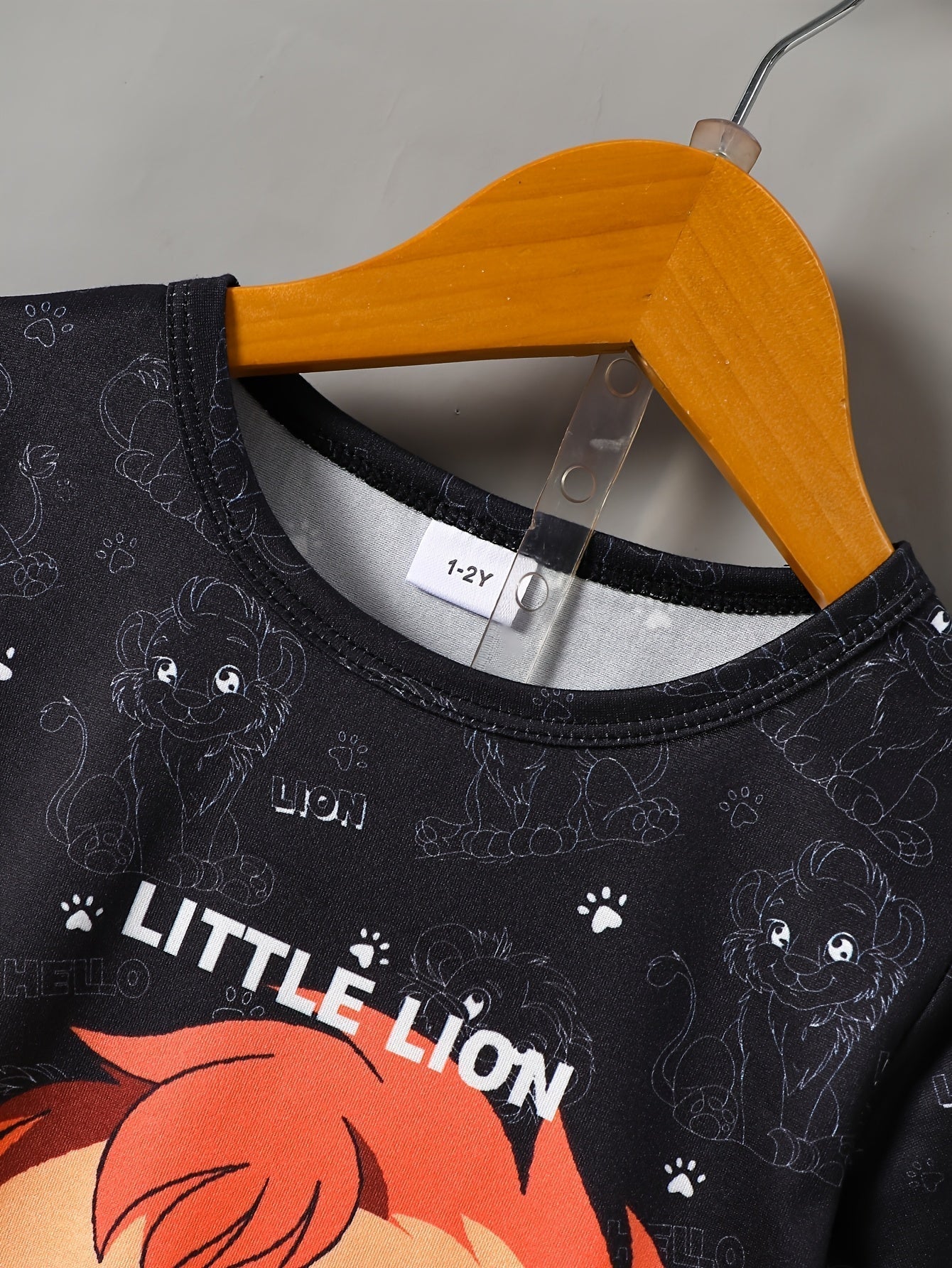 Boys Little Lion Print T-Shirt and Shorts Set