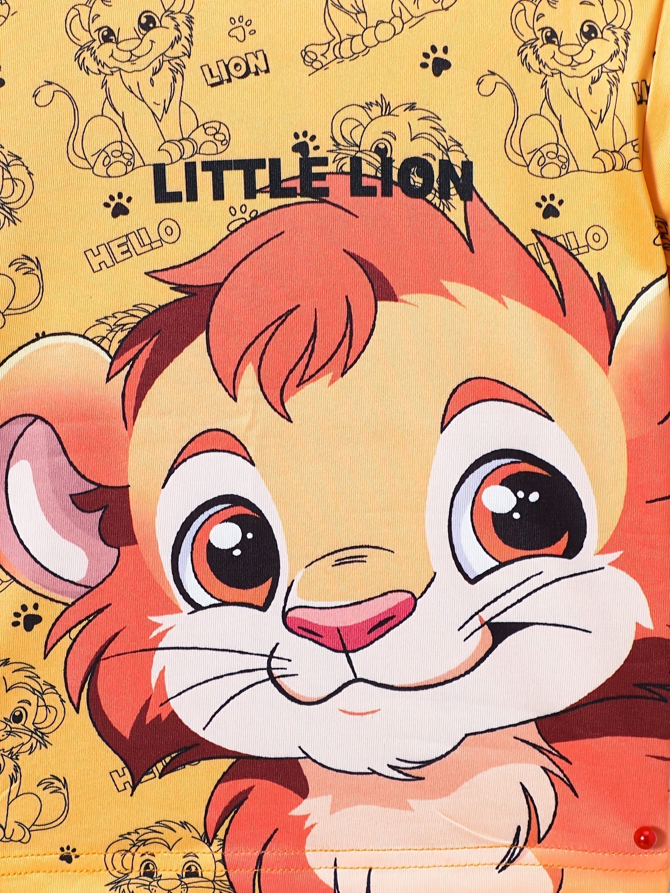 Boys Little Lion Print T-Shirt and Shorts Set